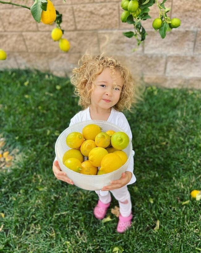A little girl holding a bowl of fresh-picked lemons in the garden